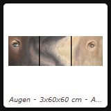 Augen - 3x60x60 cm - Acryl auf Leinwand - 2003 - Preis auf Anfrage